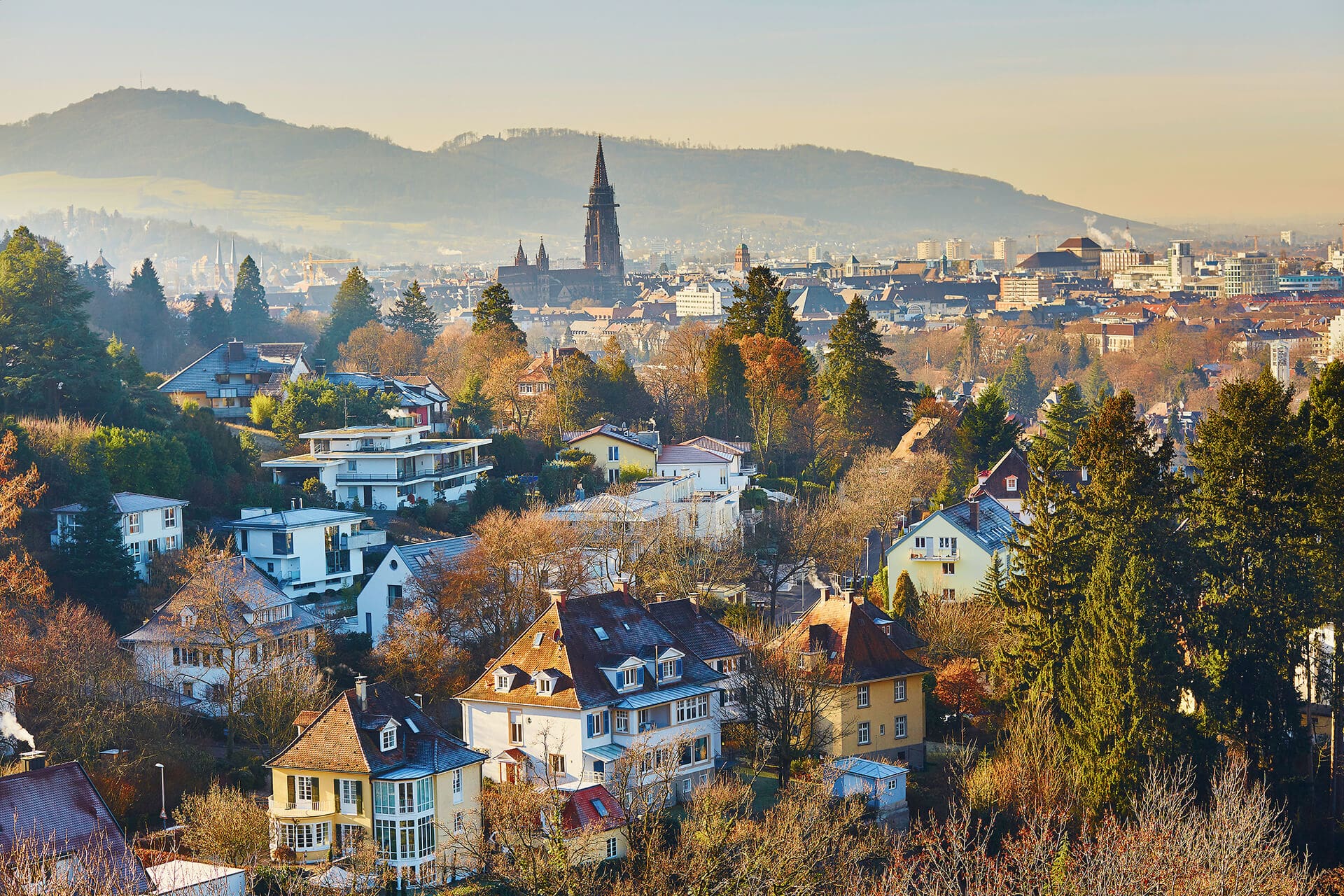 Landhotel -Am Rothenberg